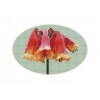 Australian Christmas Bells cross stitch kit by Mary Elizabeth Designs.