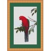King Parrot cross stitch kit by Maureen Maguire.