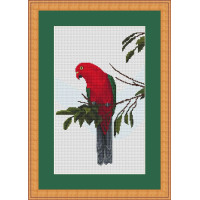 King Parrot cross stitch kit